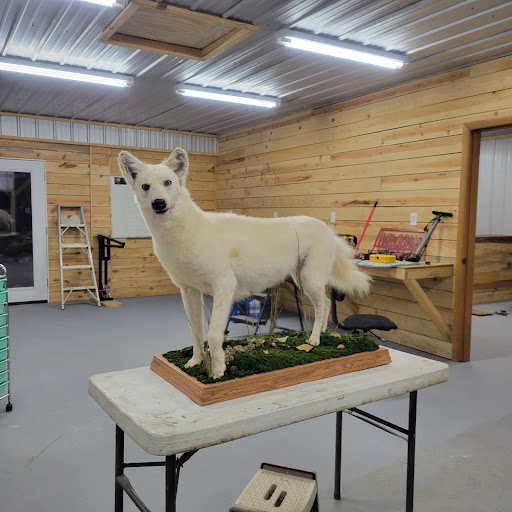10-45 Taxidermy LLC Oden, Arkansas