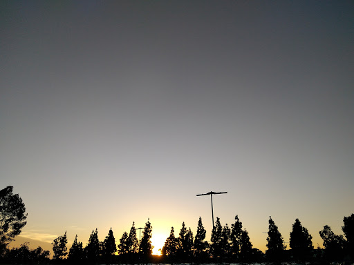 Insurance Agency «AAA», reviews and photos