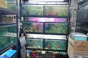 VANKHANDI FISH AQUARIUM image