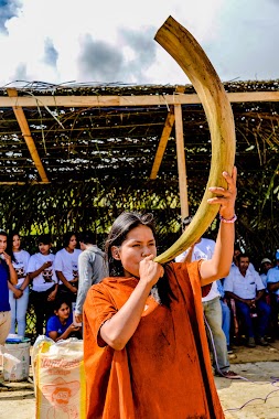 Comunidad Nativa De Anaro