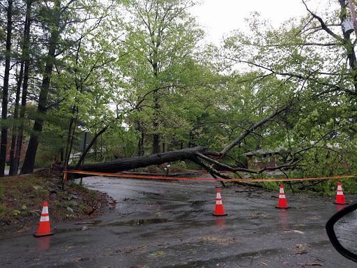 Park «Fancher Davidge Park», reviews and photos, 130 Lake Ave, Middletown, NY 10940, USA