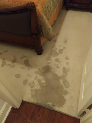 Plumber «Plano Plumbing & Leak Detection», reviews and photos, 2828 W Parker Rd #106c, Plano, TX 75075, USA