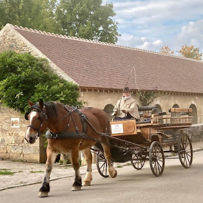 La Calèche de Clem à Noyers