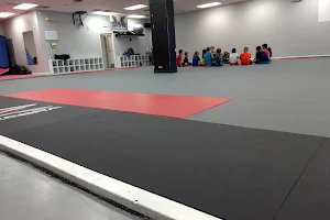 Tennessee Brazilian Jiu Jitsu Academy image