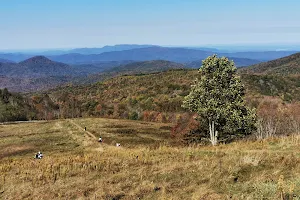 Max Patch image