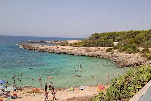 Spiaggia di Baia Capparrone image