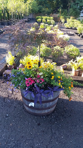 Meadows Farms Nurseries and Landscape