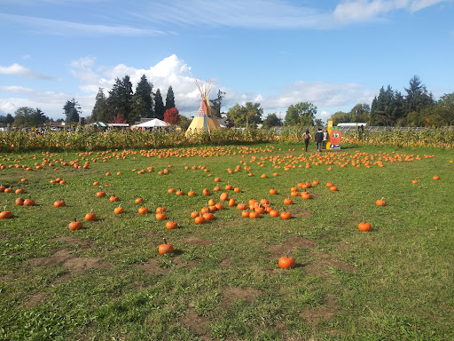 Market «E Z Orchards Farm Market», reviews and photos, 5504 Hazelgreen Rd NE, Salem, OR 97305, USA