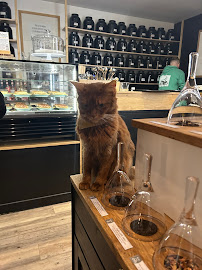 Les plus récentes photos du Le GentleCat bar a chat restaurant salon de thé interdit moins de 12 ans à Lyon - n°7