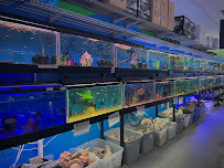 World of Wet Pets - Photo 4 - Car repair in Portland, OR, Portland