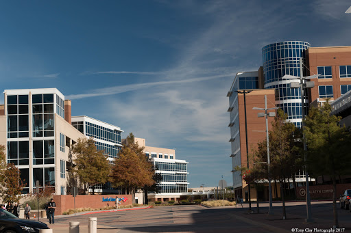 Performing Arts Theater «Charles W. Eisemann Center for Performing Arts and Corporate Presentations», reviews and photos, 2351 Performance Dr, Richardson, TX 75082, USA