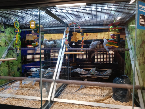 Pet Supply Store «PetSmart», reviews and photos, 2102 W Union Blvd #22A, Bethlehem, PA 18018, USA