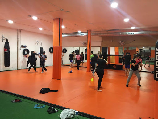 LION FIGHTERS MMA - Artes Marciales Mixtas, Boxeo, Kick boxing, Grappling, Defensa personal. en Cornellà de Llobregat, Barcelona