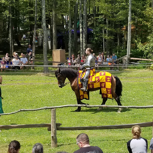 Tourist Attraction «The Great Lakes Medieval Faire», reviews and photos, 3033 OH-534, Rock Creek, OH 44084, USA