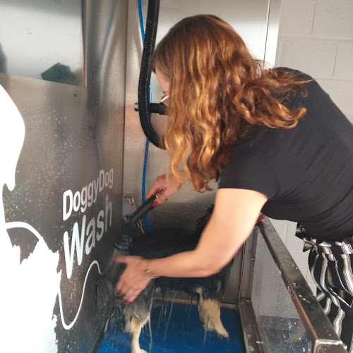 Reacties en beoordelingen van DoggyDog Wash Selfservice