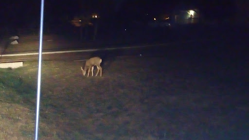 Park «Keller Park», reviews and photos, 14950 Meadowland Blvd, Colorado Springs, CO 80918, USA