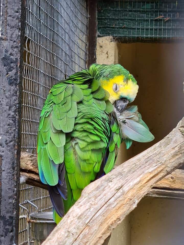 Photo n° 24 de l'avis de Maïté.e fait le 03/08/2022 à 19:24