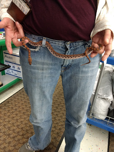 Pet Supply Store «Pet Supplies Plus», reviews and photos, 605 Grand Central Ave, Vienna, WV 26105, USA