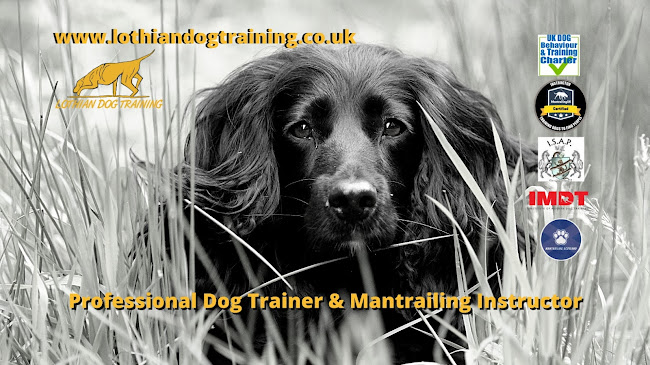 Comments and reviews of Lothian Dog Training