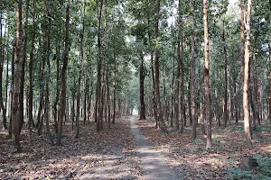 Gosairhat Eco Park image