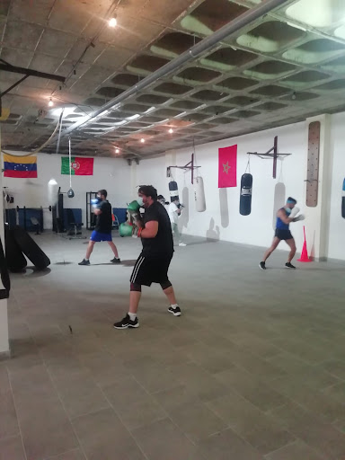 Rocky M. Box Escuela de Boxeo en Icod de los Vinos, Santa Cruz de Tenerife