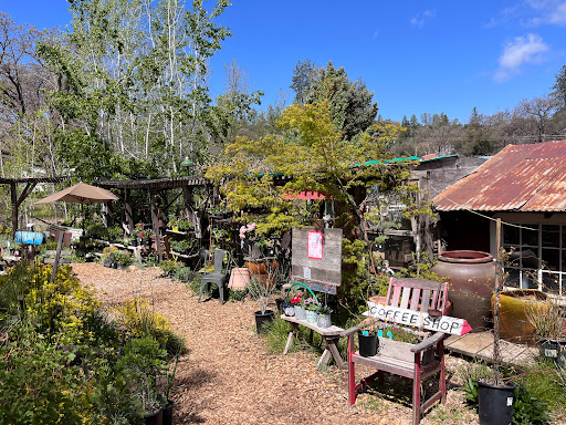 Coffee Shop «Mountain Sage», reviews and photos, 18653 Main St, Groveland, CA 95321, USA