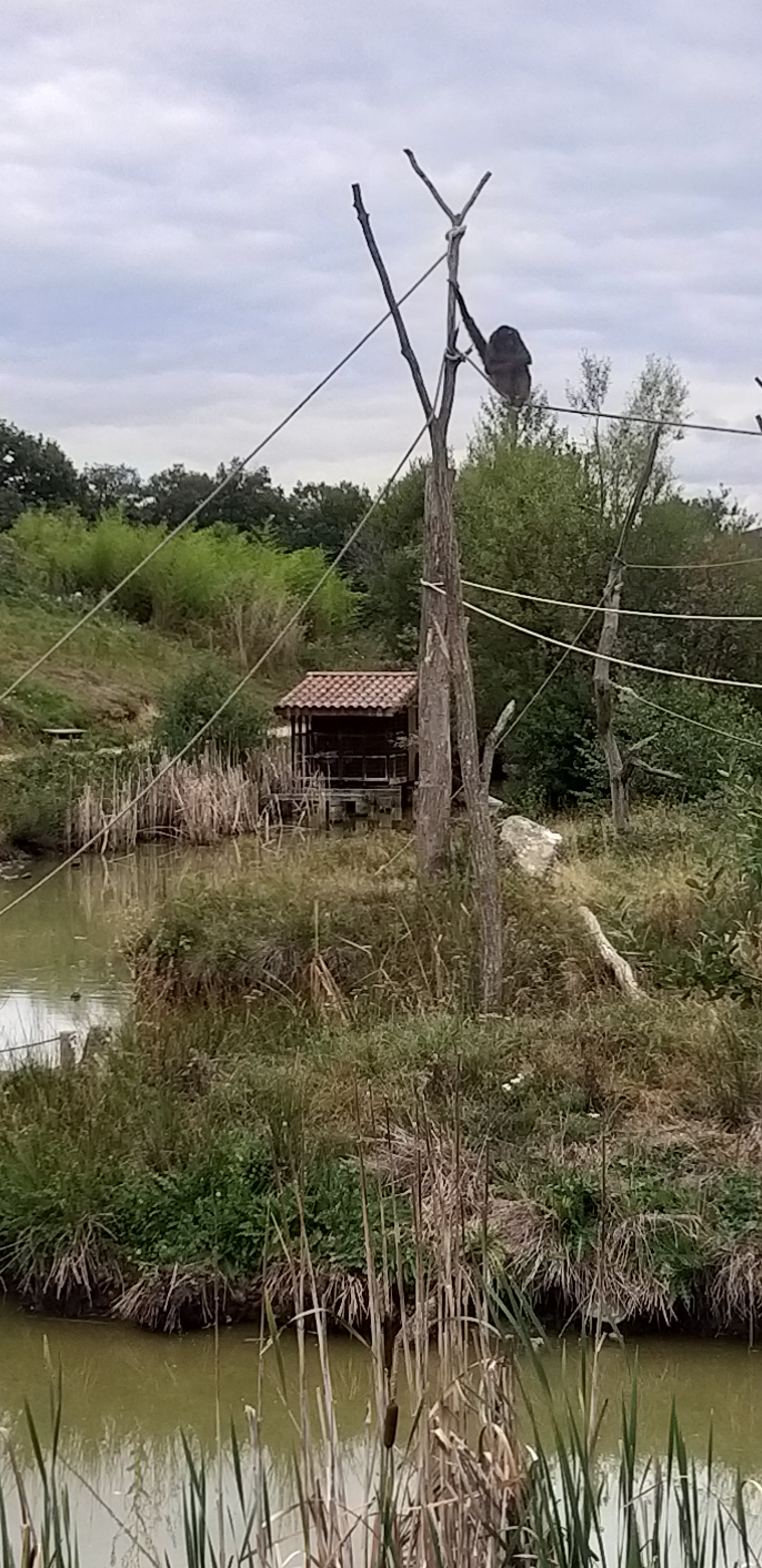 Photo n° 8 de l'avis de unmecdesannees80. fait le 08/09/2019 à 03:14