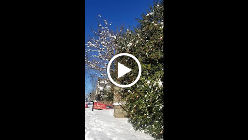 Thrift Store «St Albans Church-Opportunity Shop», reviews and photos, 3001 Wisconsin Ave NW, Washington, DC 20016, USA