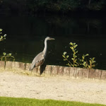 Photo n°1 de l'avis de jürgen.o fait le 09/10/2020 à 17:30 sur le  Gut Düneburg à Haren