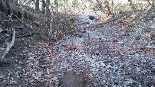 Park «Carter Park», reviews and photos, 1720 King Ave, Kings Mills, OH 45034, USA