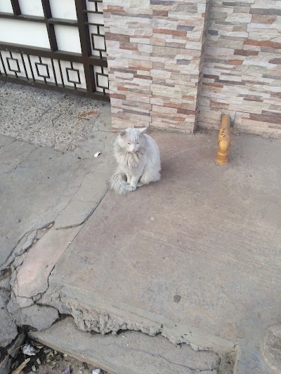 Photos of المطبخ الإسباني