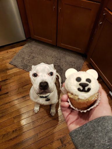 Pet Supply Store «Three Dog Bakery Inc», reviews and photos, 13904 Town Center Blvd # 200, Noblesville, IN 46060, USA