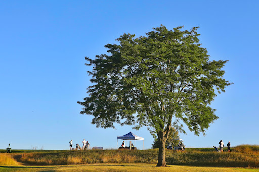 Golf Course «Fieldstone Golf Club», reviews and photos, 1984 Taylor Rd, Auburn Hills, MI 48326, USA