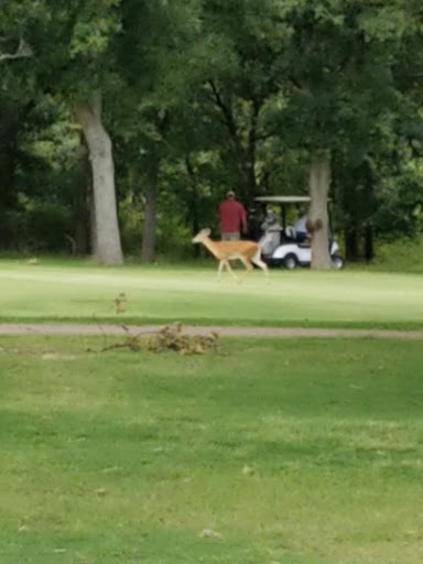 Golf Course «Sugar Tree Golf Club», reviews and photos, 251 Sugartree Dr, Lipan, TX 76462, USA