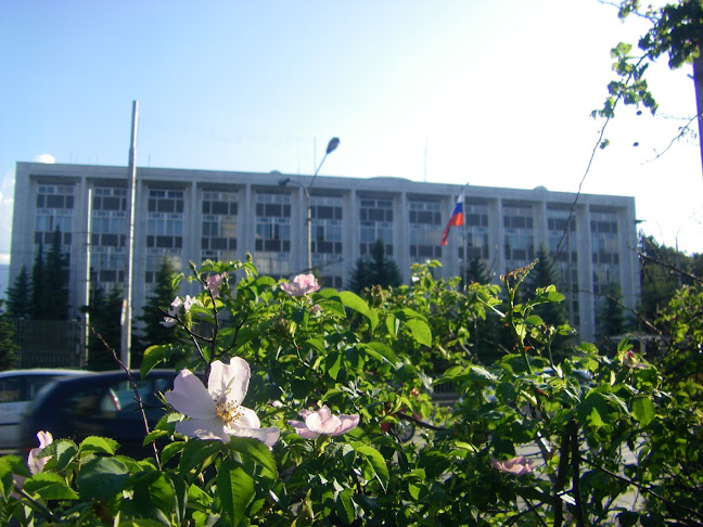 Посолство на Руска Федерация