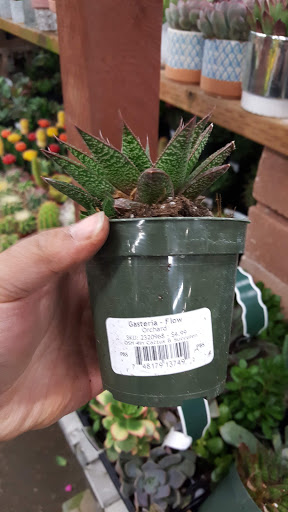 Hardware Store «Orchard Supply Hardware», reviews and photos, 2245 Gellert Blvd, South San Francisco, CA 94080, USA