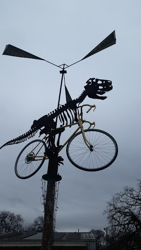 Non-Profit Organization «Yellow Bike Project-NonProfit Bike Collective», reviews and photos