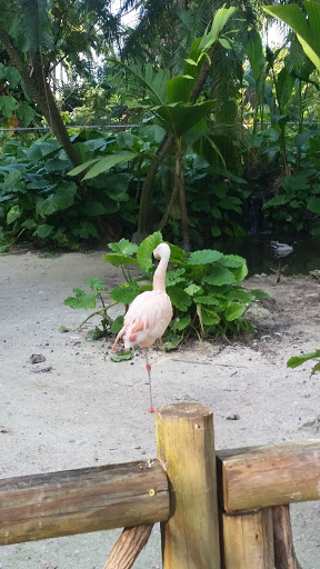 Tourist Attraction «Walton House», reviews and photos, 28501 SW 187th Ave, Homestead, FL 33030, USA