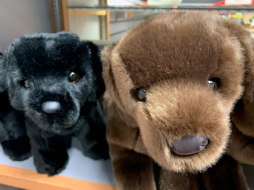 Toy Store «Phillips Toy Mart», reviews and photos, 5207 Harding Pike, Nashville, TN 37205, USA