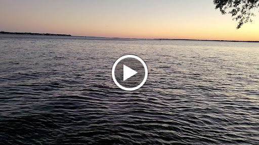 Memorial Park «Memorial Park», reviews and photos, 1620 Riverside Ave, Jacksonville, FL 32204, USA