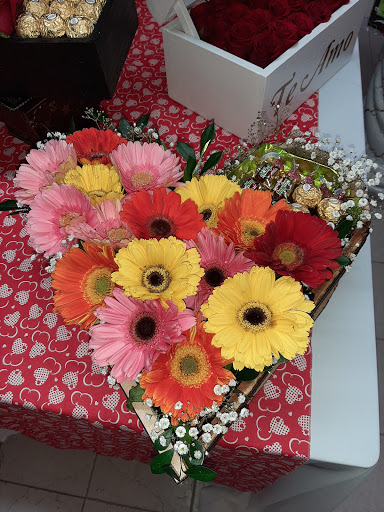 Flor Arte – Piedras Negras