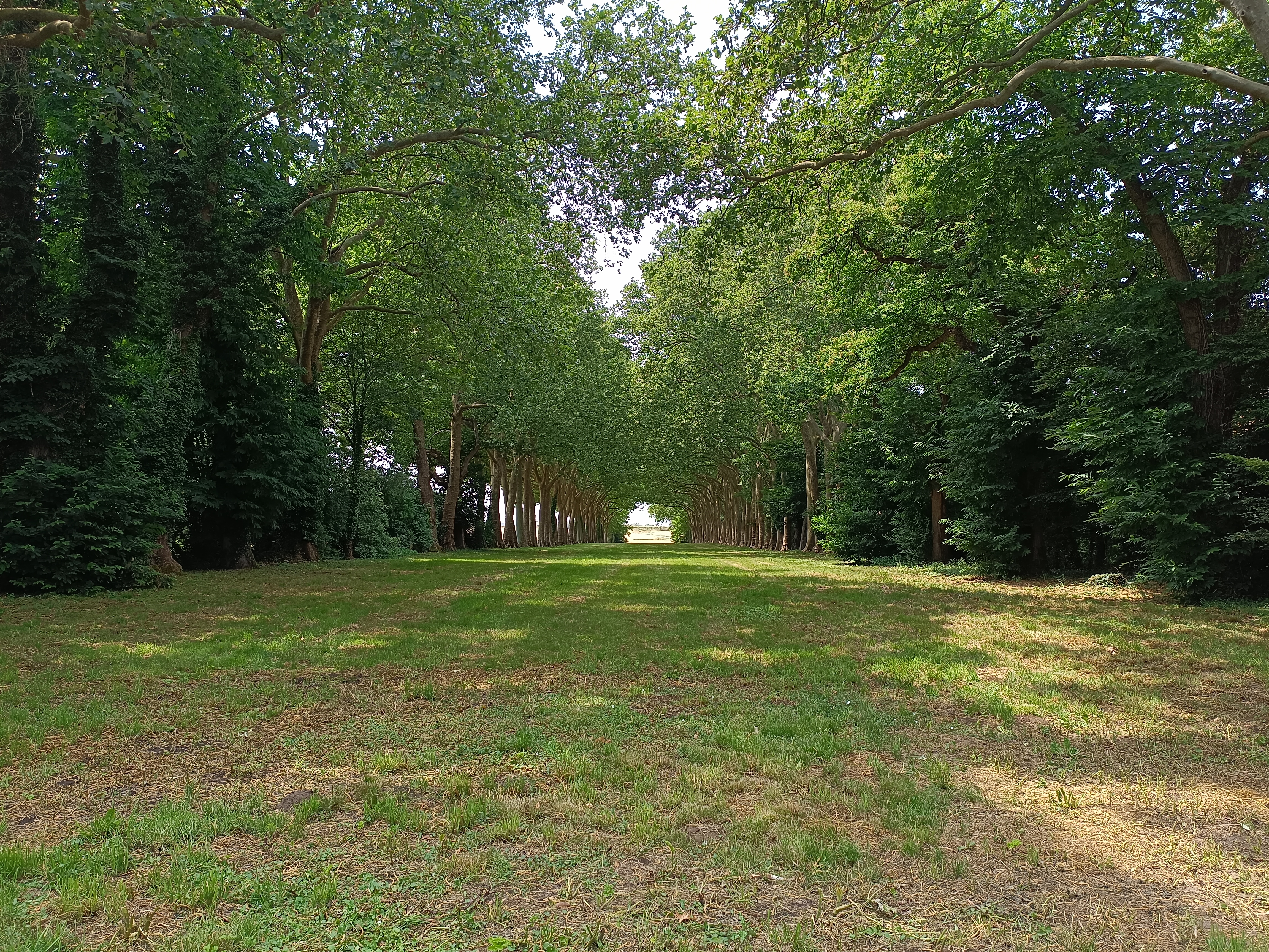 Photo n° 2 de l'avis de Oréda. fait le 09/07/2023 à 19:49