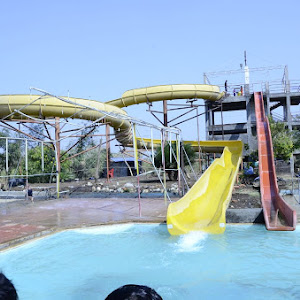 Woods Water Park Resort photo