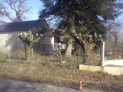 Bauchaut bois bûcheron à Corzé