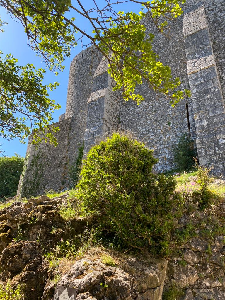 Photo n° 7 de l'avis de Chou.H fait le 29/05/2022 à 13:35