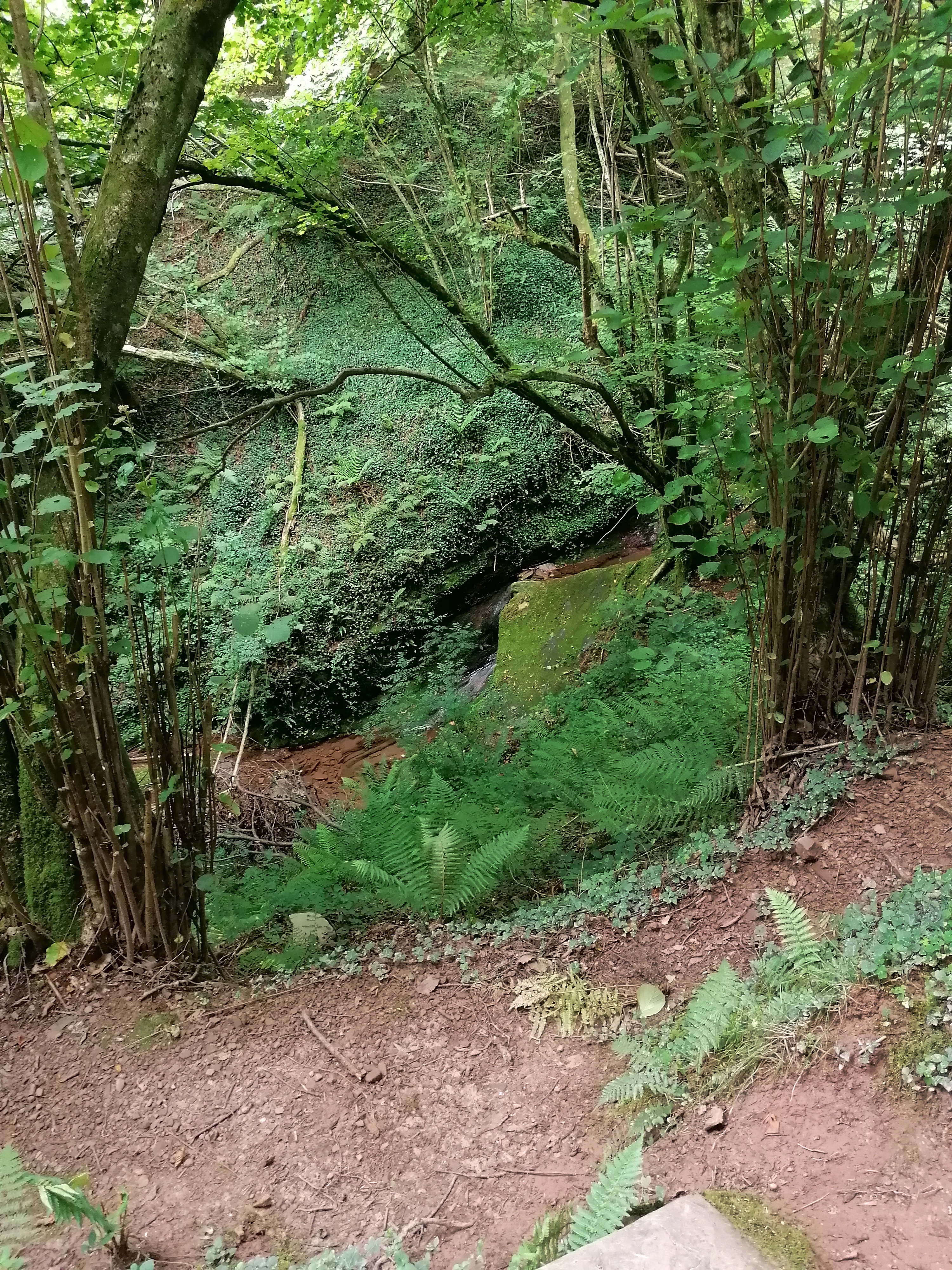 Photo n° 1 de l'avis de Gaelle.i fait le 15/08/2021 à 17:58