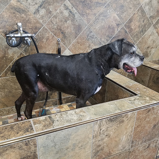 Pet Store «Pet Valu», reviews and photos, 6718 Ritchie Hwy, Glen Burnie, MD 21061, USA