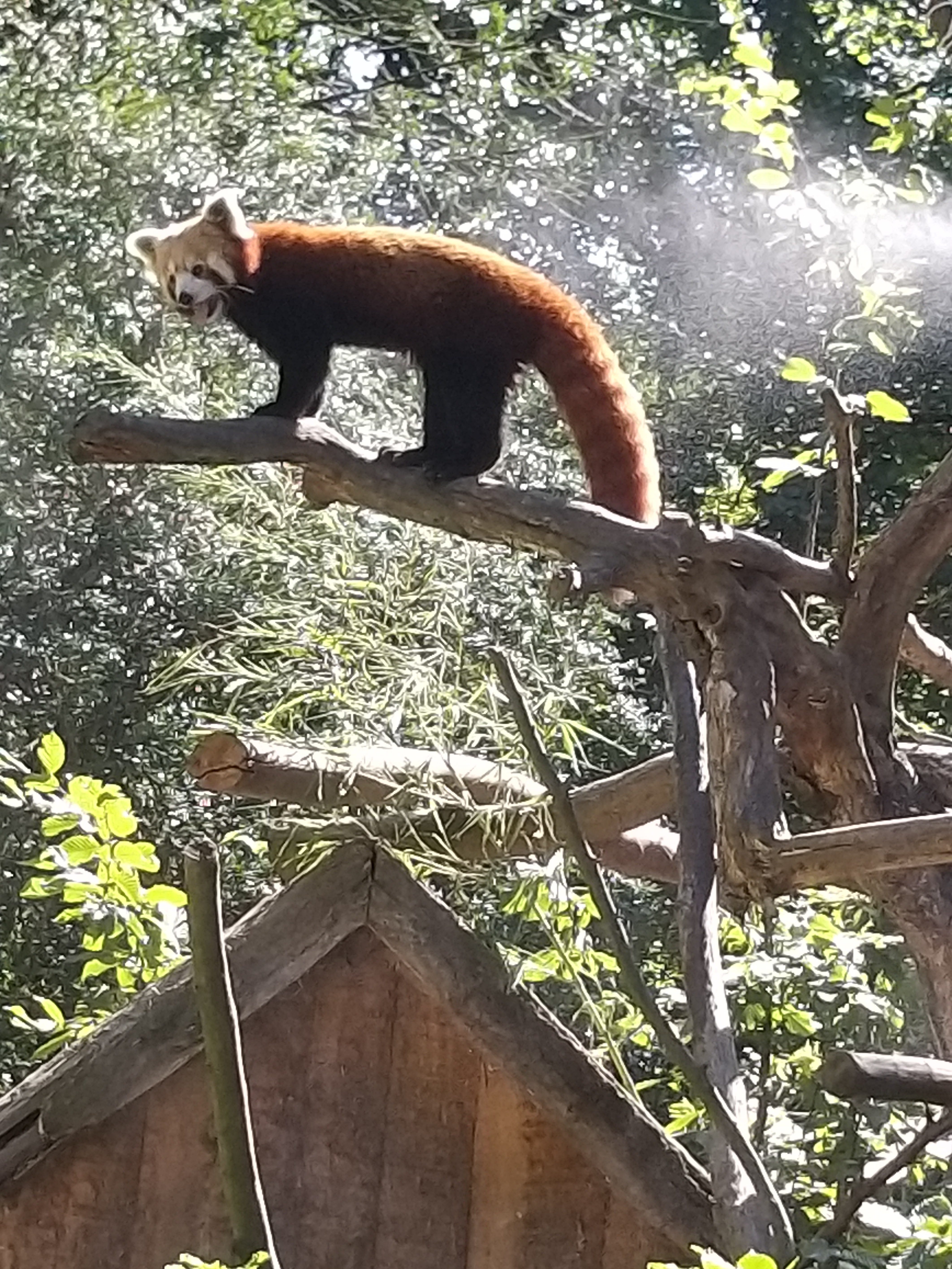 Photo n° 4 de l'avis de Angelique.a fait le 25/08/2019 à 15:14
