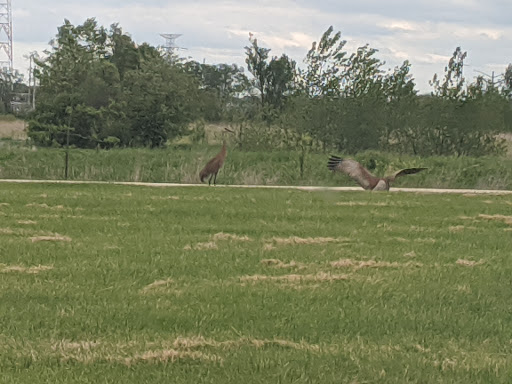 State Park «James Pate Philip State Park», reviews and photos, 2050 W Stearns Rd, Bartlett, IL 60103, USA