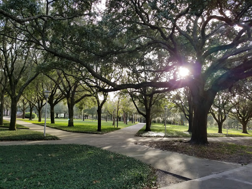 Universidades en Tampa